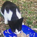 Photo of Riley