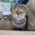 Photo of Hamish