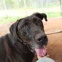 Photo of Handsome Hades 