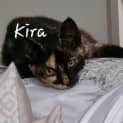 Photo of Kira