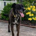 Photo of Mindi