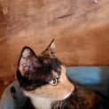 Photo of Holly