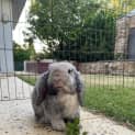 Photo of Storm