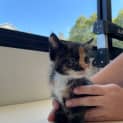 Photo of Spice