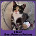 Photo of Fleur
