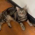 Photo of Kiki