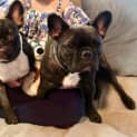 Photo of Collette & Angus