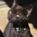 Photo of Argos