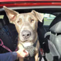 Photo of Duke