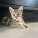 Photo of Baby