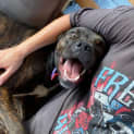 Photo of Betty