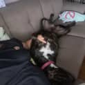 Photo of Betty
