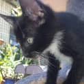 Photo of Martina