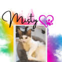 Photo of Misty