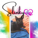 Photo of Slinky Malinky