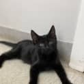Photo of Wednesday
