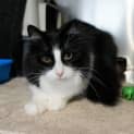 Photo of Sprite