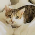 Photo of Ren