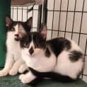 Photo of Pistachio & Bugsy