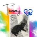 Photo of Tommy