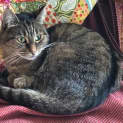 Photo of Minka