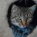 Photo of Lilly