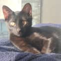 Photo of Marvin (With Lily)
