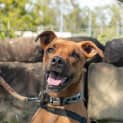 Photo of Axel