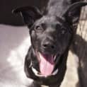 Photo of Molly
