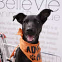Photo of Molly