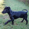 Photo of Molly