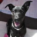 Photo of Molly