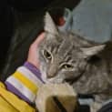Photo of Smokey