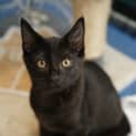 Photo of Ryder