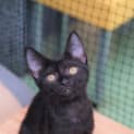Photo of Freya