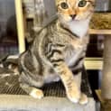 Photo of Jolene