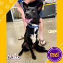 Photo of Duke