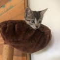 Photo of Agatha