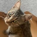 Photo of Lulu
