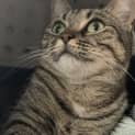 Photo of Lulu