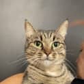 Photo of Lulu