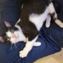Photo of Derek 10774