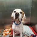 Photo of Dudley