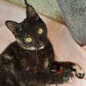 Photo of Cammi