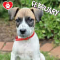 Photo of February