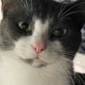 Photo of Leona