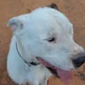 Photo of Albie