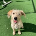 Photo of Ellie