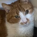 Photo of Zig