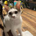 Photo of Gretel
